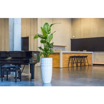 Luxe Lite Collection sale