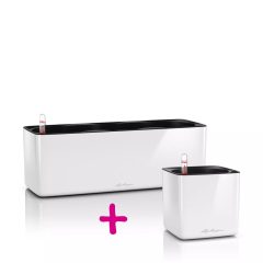 Lechuza Cube Glossy Triple + Lechuza Cube Glossy 14