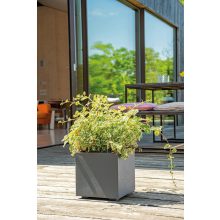 Deroma Cassetta Millennium antracit 78,5 x 39 x 39 cm