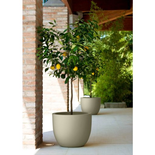 Etria Vaso