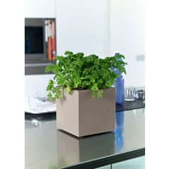 Mini Kube flower pot