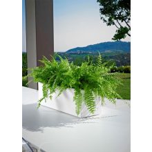 Mini kube Cassetta ghiveci pentru flori