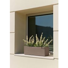 Mini kube Cassetta ghiveci pentru flori