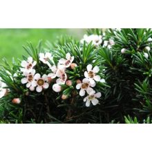 GARRI Mediterrán tápoldat 1 Literes