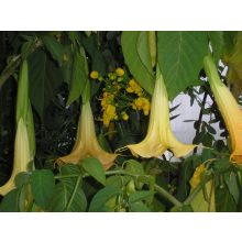 GARRI Mediterrán tápoldat 1 Literes