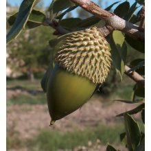 GARRI Mediterrán tápoldat 1 Literes