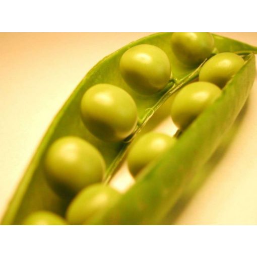 GARRI Zöldségekhez és bogyósnövényekhez tápoldat