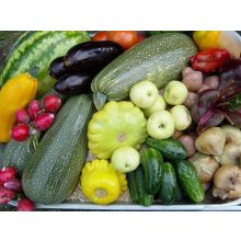 GARRI Zöldségekhez és bogyósnövényekhez tápoldat