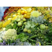 GARRI Zöldségekhez és bogyósnövényekhez tápoldat