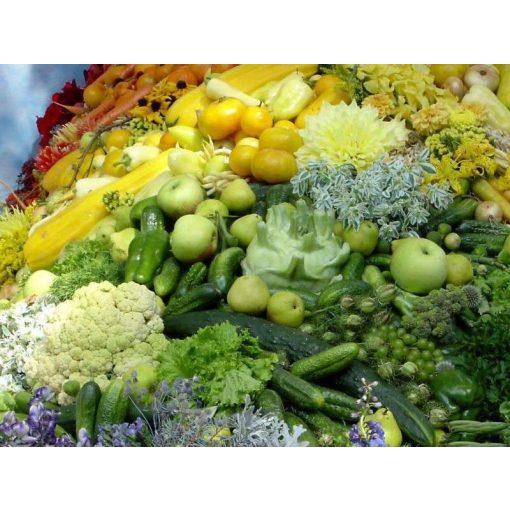 GARRI Zöldségekhez és bogyósnövényekhez tápoldat