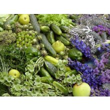 GARRI Zöldségekhez és bogyósnövényekhez tápoldat