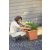 Elho Green Basics Garden XXL 100 cm