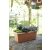 Elho Green Basics Garden XXL 100 cm