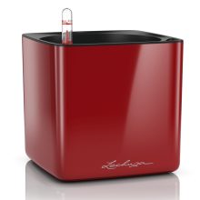 Lechuza CUBE Glossy
