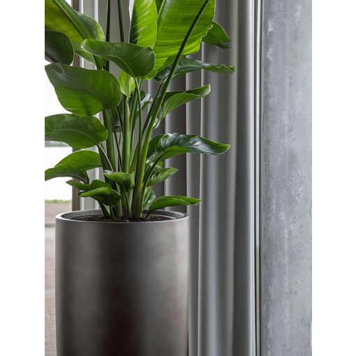 Baq Gradient Partner Matt Grey