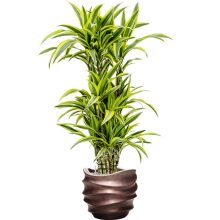 Baq Gradient Lee Couple Matt Coffee ghiveci decorativ