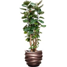 Baq Gradient Lee Couple Matt Coffee ghiveci decorativ