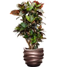 Baq Gradient Lee Couple Matt Coffee ghiveci decorativ