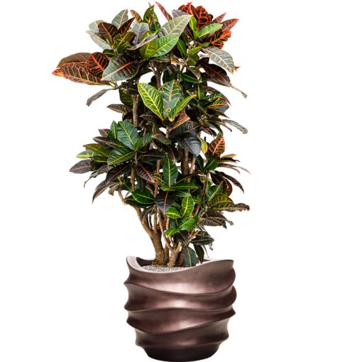 Baq Gradient Lee Couple Matt Coffee ghiveci decorativ