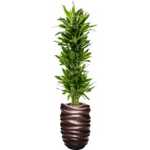 Baq Gradient Lee Partner Matt Coffee