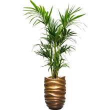 Baq Gradient Lee Partner Matt Honey Brown