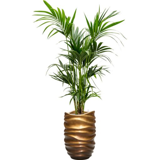 Baq Gradient Lee Partner Matt Honey Brown