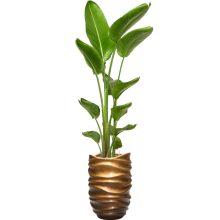 Baq Gradient Lee Partner Matt Honey Brown