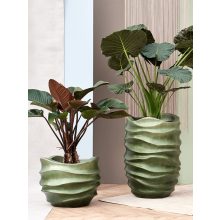 Baq Gradient Lee Couple Matt Forest Green