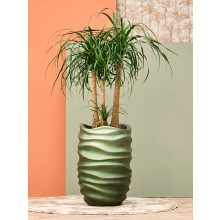 Baq Gradient Lee Partner Matt Forest Green