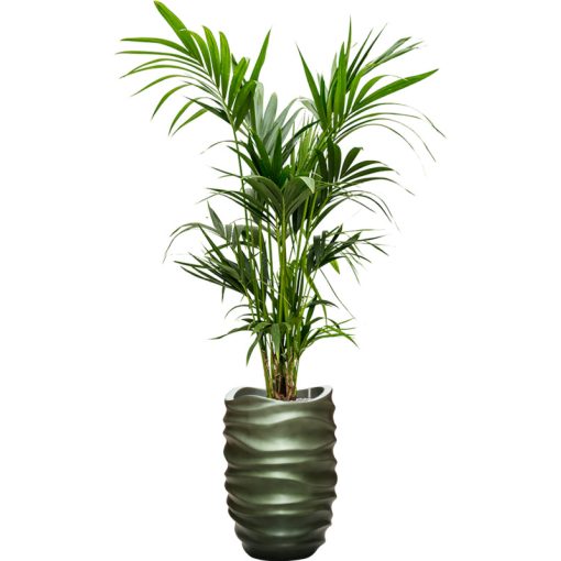 Baq Gradient Lee Partner Matt Forest Green