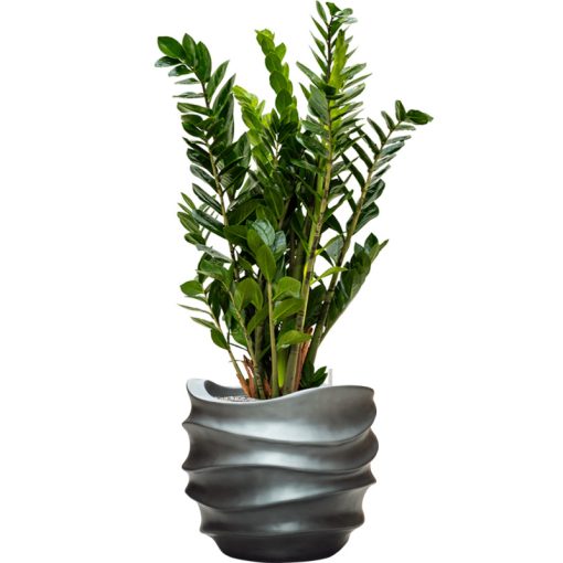 Baq Gradient Lee Couple Matt Grey