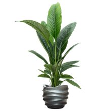 Baq Gradient Lee Couple Matt Grey