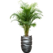 Baq Gradient Lee Partner Matt Grey