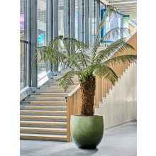 Baq Gradient Balloon Matt Forest Green ghiveci decorativ