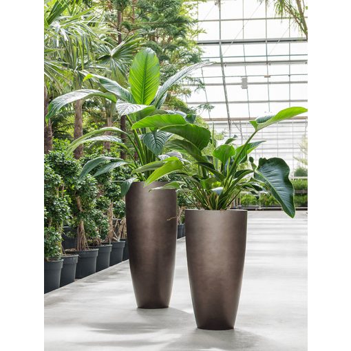 Baq Gradient Partner Matt Coffee