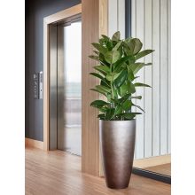 Baq Gradient Partner Matt Coffee