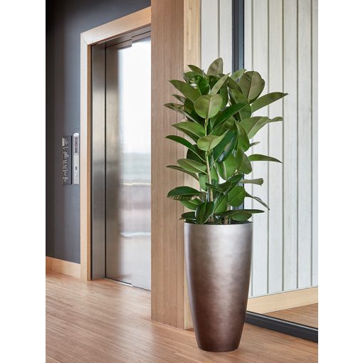 Baq Gradient Partner Matt Coffee