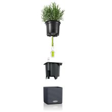 Lechuza Green Wall Home Kit Color