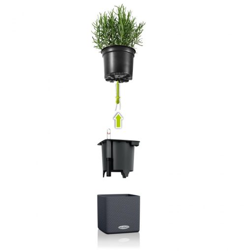 Lechuza Green Wall Home Kit Color