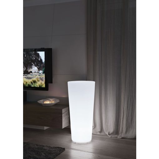 ILIE LIGHT