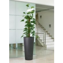 Ghiveci decorativ Ilie