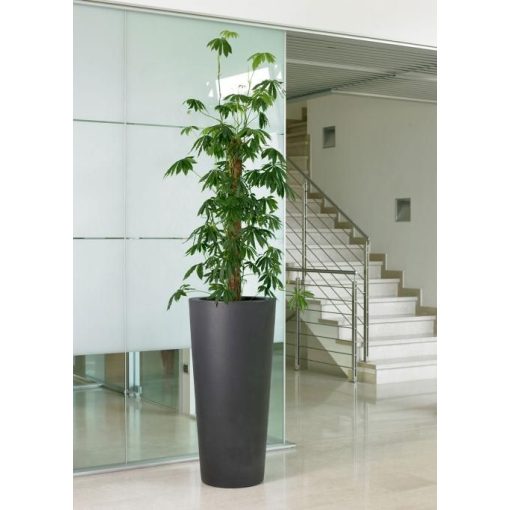 Ghiveci decorativ Ilie