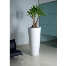 Ghiveci decorativ Ilie