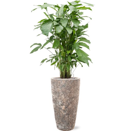 Lava Partner Straight Relic Rust Metal Blumentopf