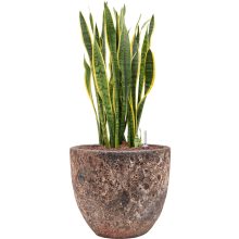 Lava Couple Relic Pink kaspó