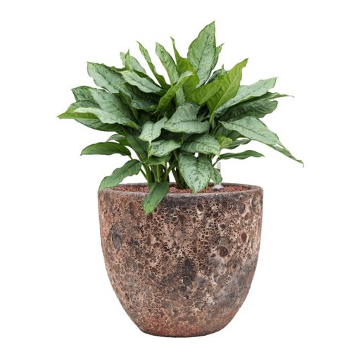 Lava Couple Relic Pink kaspó