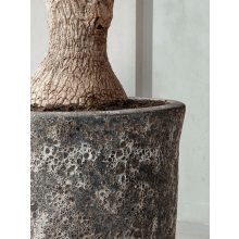 Lava Partner Relic Rust Metal planter