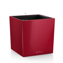 Lechuza Cube Premium 30-40-50