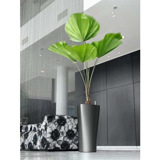 Lechuza Delta- kiemelhető belsővel önöntözővel