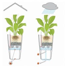 Lechuza CUBICO Cottage kiemelhető belsővel és önöntöző készlettel 